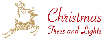 Christmas Trees And Lights